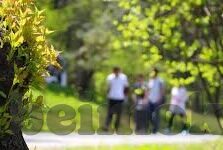 91麻豆app无限次数破解版-91麻豆，解锁娱乐学习的艺术与伦理界限